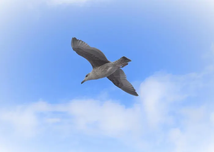 Lejlighed App 134haus 3